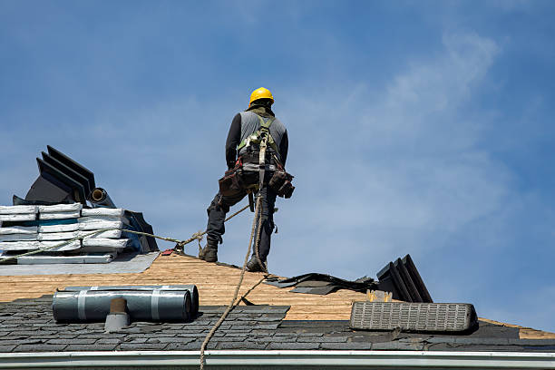 Professional Roof Replacement technician working in Holcomb, IL